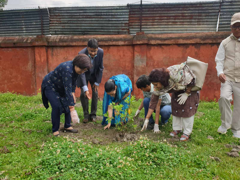 Tree Plantation Program on the Occasion of World Fair Trade Day