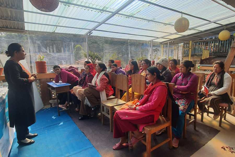 Product Diversification Training on Soap Nuts